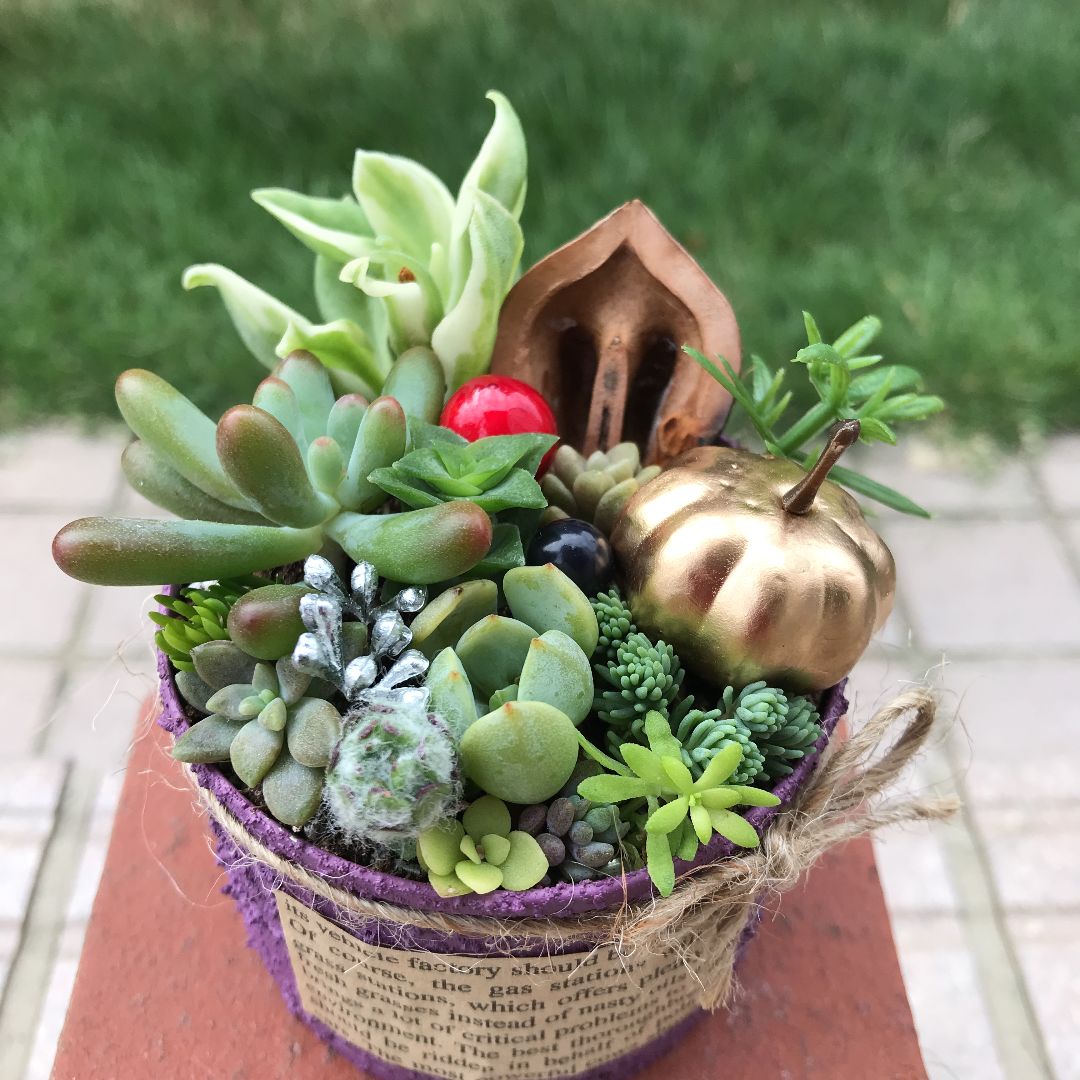 ♡そのまま飾れる♡リメ缶♬秋・ハロウィン多肉植物寄せ植え ♡そのまま飾れる♡リメ缶♬秋・ハロウィン多肉植物寄せ植え