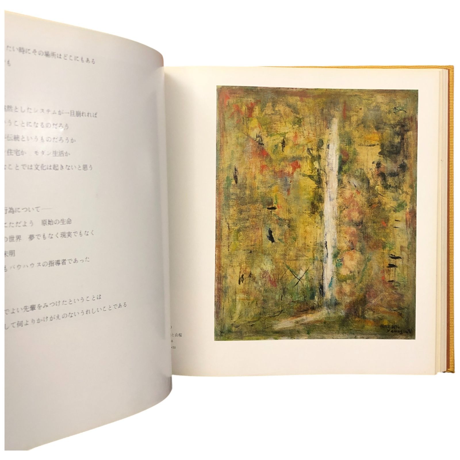 山口薫 正巻（新装版）・第2集 2冊セット 山口薫 求龍堂 1980年2月15
