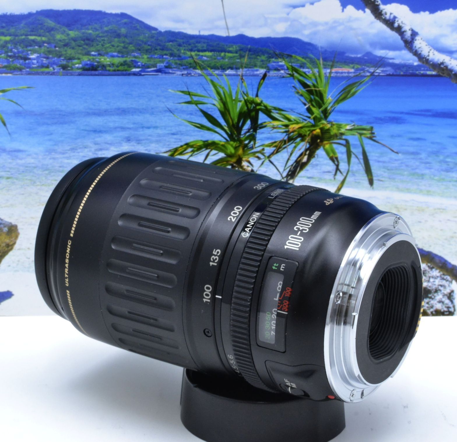 柔らかな質感の 望遠レンズ⭐︎キャノン EF100-300 Canon レンズ