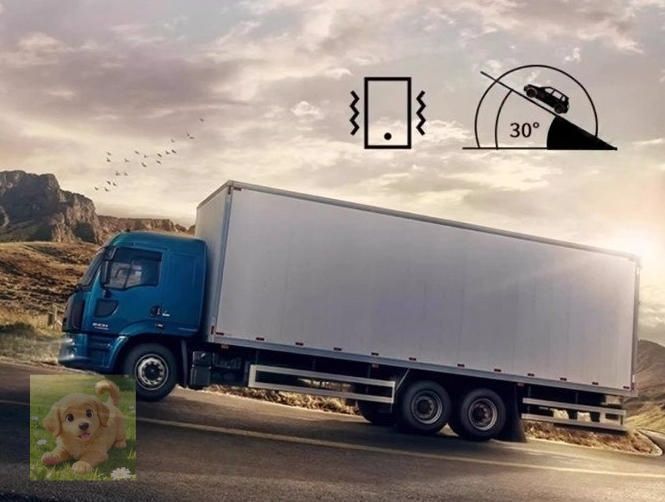 バージョン 車載冷蔵庫 20L ポータブル冷蔵庫 -22℃～ 20℃調整 圧縮機冷凍車用小冷凍クーラーボックス 家庭用車載用12V|24V|110V