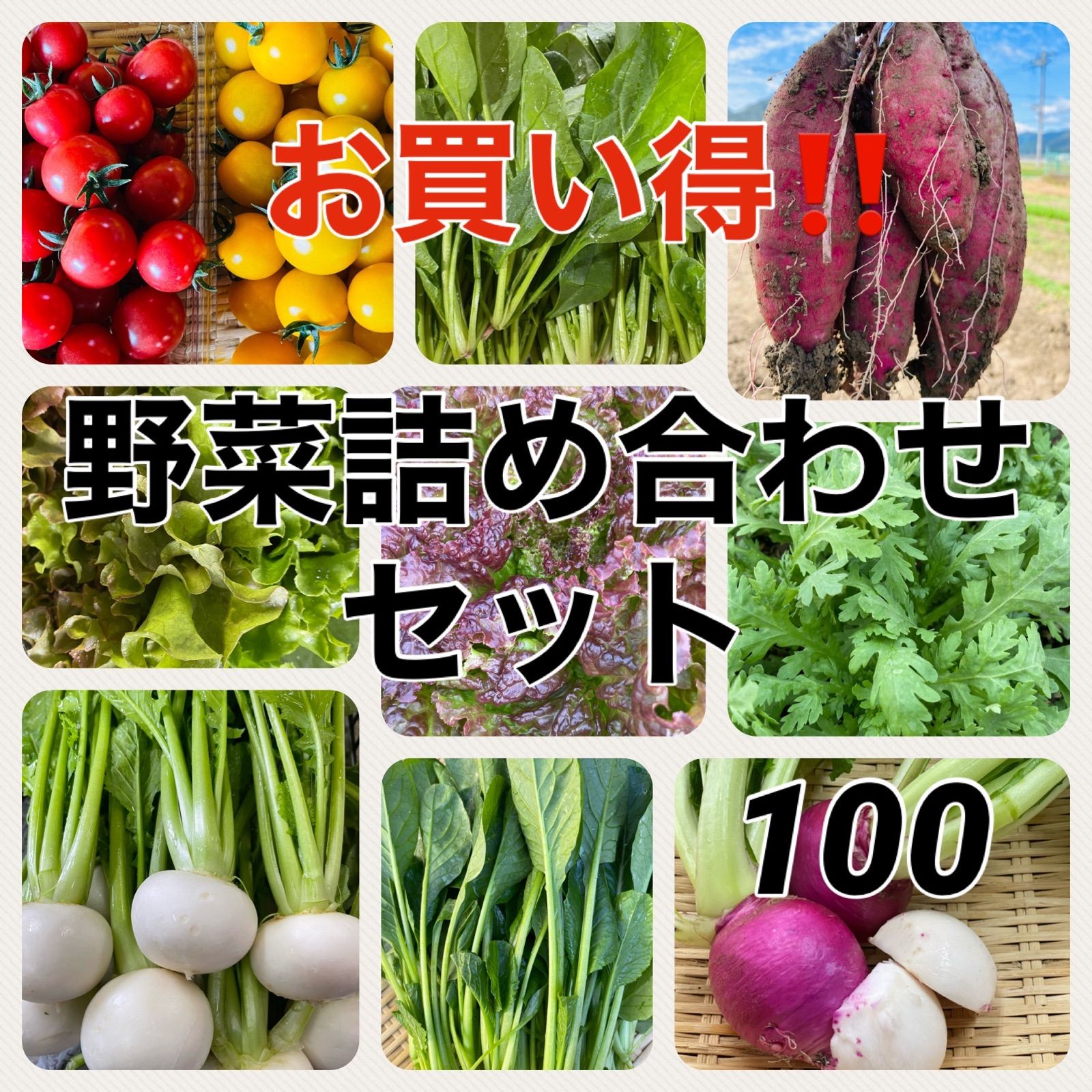 9種類‼️お買い得‼️野菜詰め合わせセット‼️１００サイズ‼️ももの