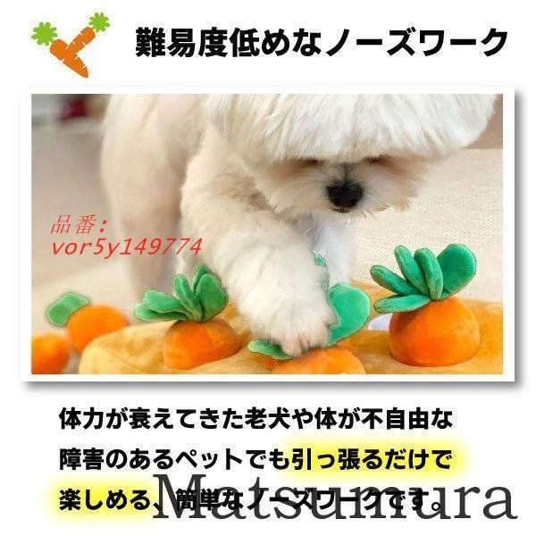ノーズワーク 嗅覚トレーニング にんじん いちご ペット