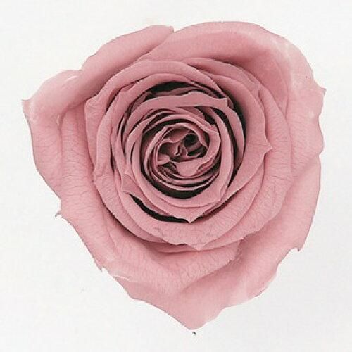 能面 雷 かみなり 木彫り 手彫り 桐箱