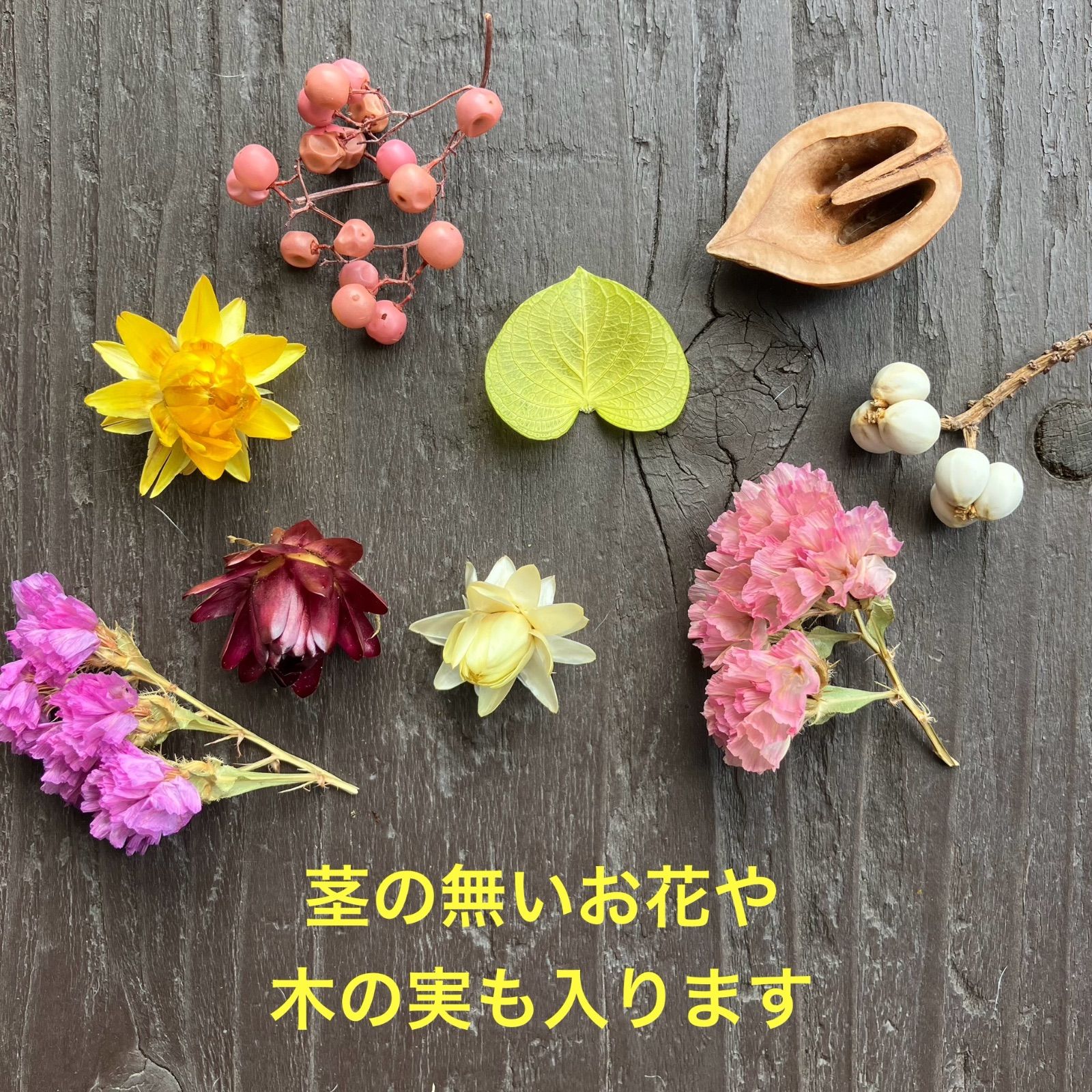 ドライフラワー 花材セット20本 素材ドライフラワー (送料込み) - メルカリ