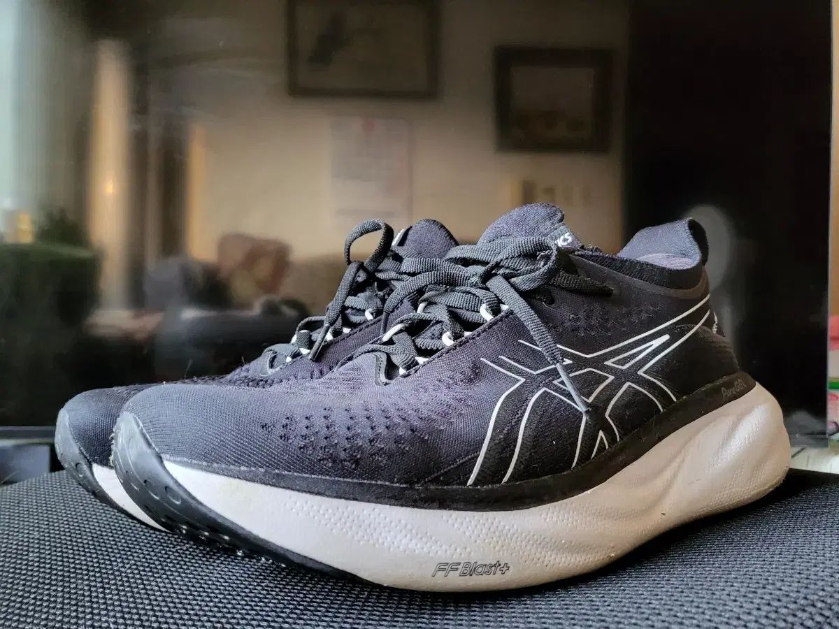 Asics(アシックス) ジェルニンバス 25 ランニングシューズ 280