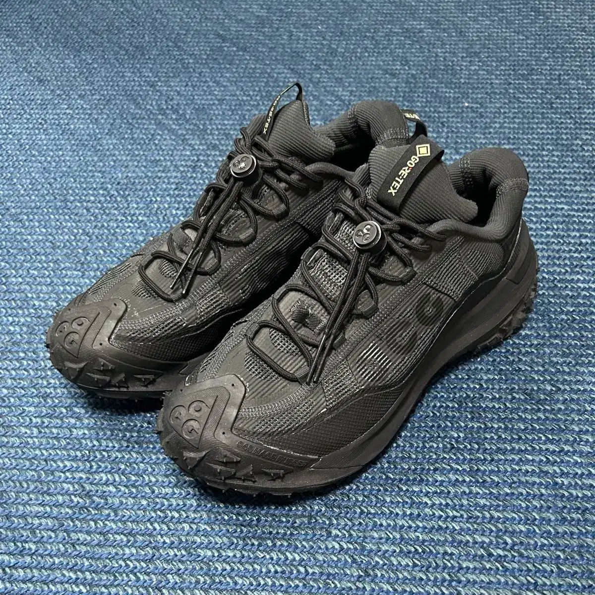NIKE ナイキ ACG マウンテン フライ 2 ロー GORE-TEX ゴアテックス 黒 260