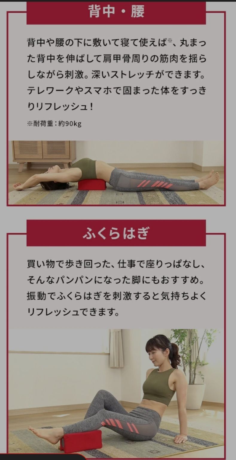 JETSLIMBODY MAX ジェットスリムボディ マックス 同様 ディノス