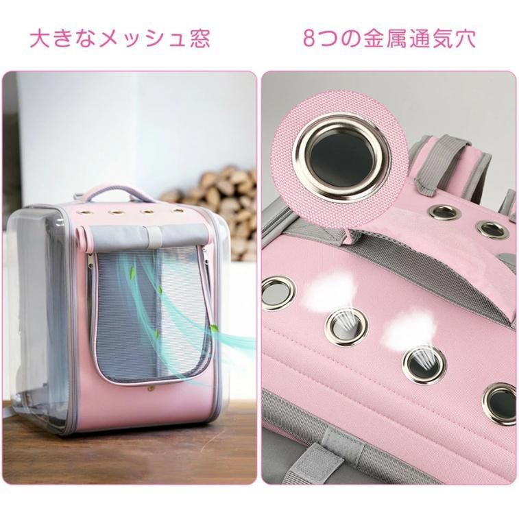 バック
