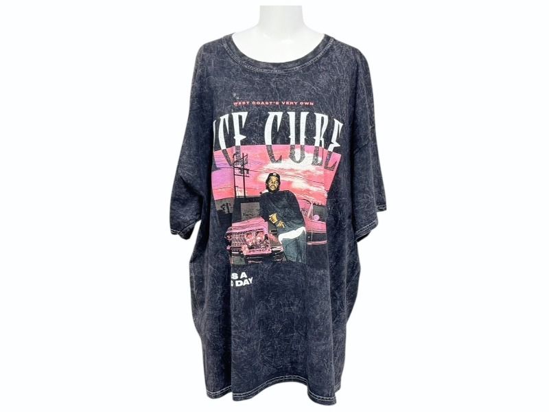 極美品 VINTAGE ヴィンテージ ICE CUBE アイスキューブ 半袖Tシャツ IT  