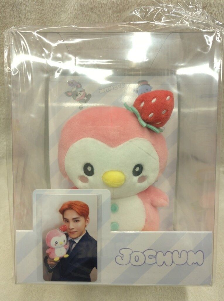 JOCHUM ぽぽ マスコットキーホルダー ヘアゴム ぬいぐるみポーチ JOCHUM ぽぽ マスコットキーホルダー ヘアゴム ぬいぐるみポーチ 楽天