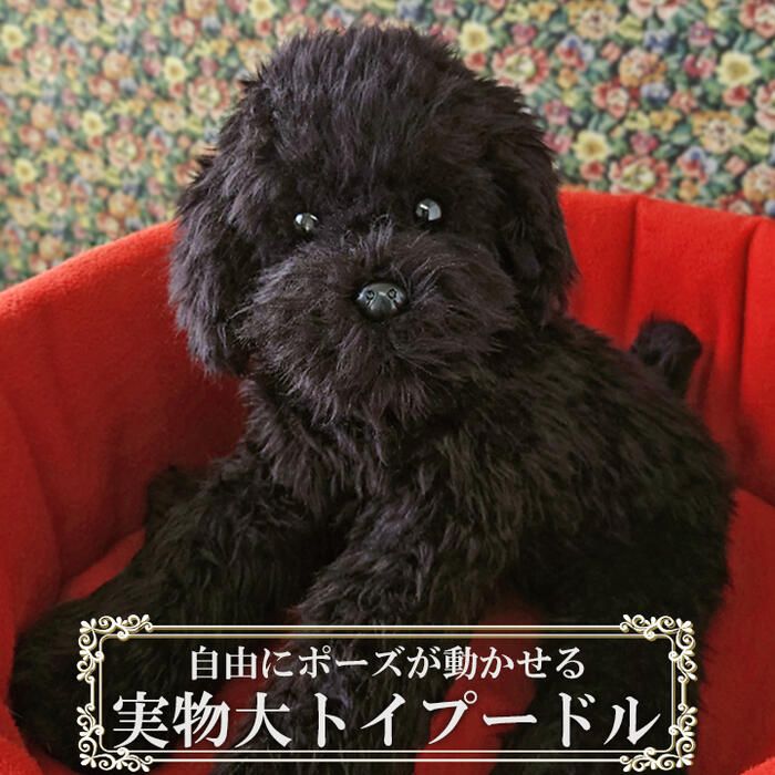 ニニアンドキノ 実物大 ポーズが変えられる トイプードル 黒 ブラック