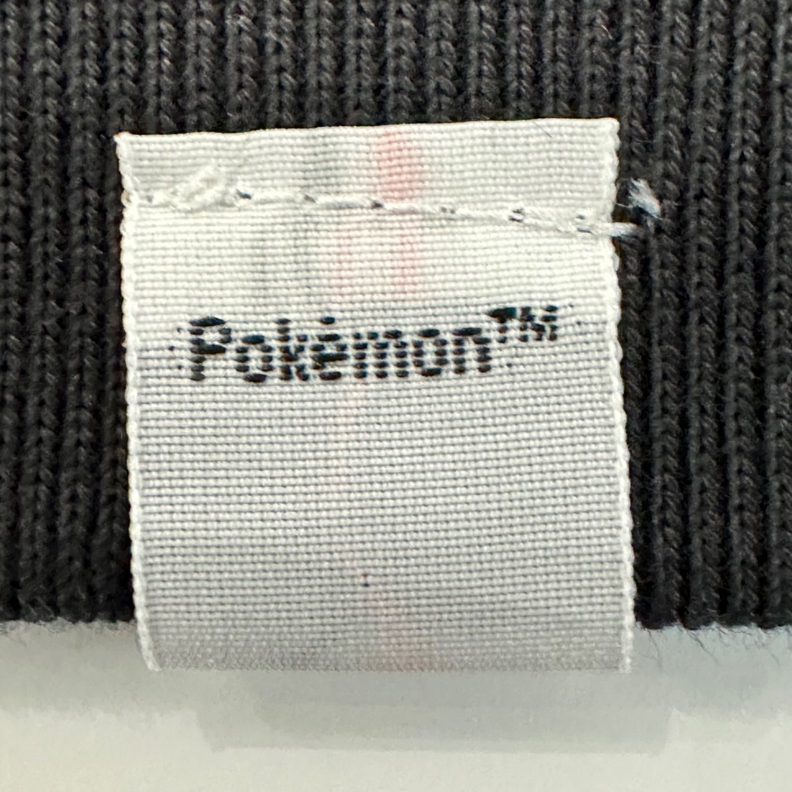 FRGMT × pokemon フラグメント ポケモン スウェット　ヒトカゲ FRGMT × pokemon フラグメント ポケモン スウェット ヒトカゲ