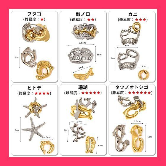 【スタッフおすすめ！】HUAZONTOM 知恵の輪 知恵おもちゃ 6点セット 難易度6*2 リングパズル 知恵玩具 大人 子供 謎解き 暇つぶしグッズ 立体パズル 知育 おもちゃ 海洋シリーズ
