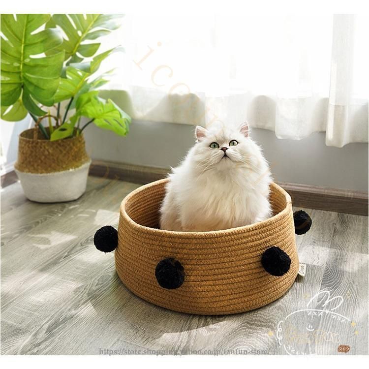 猫ハウス 洗いやす