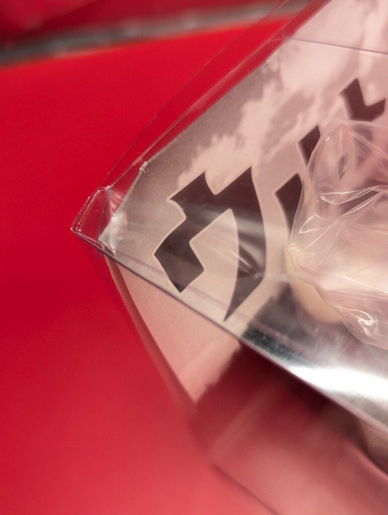 スターフルーツ（ゴレンシ）「ハニージャンボ」 9号鉢 5年生株立苗