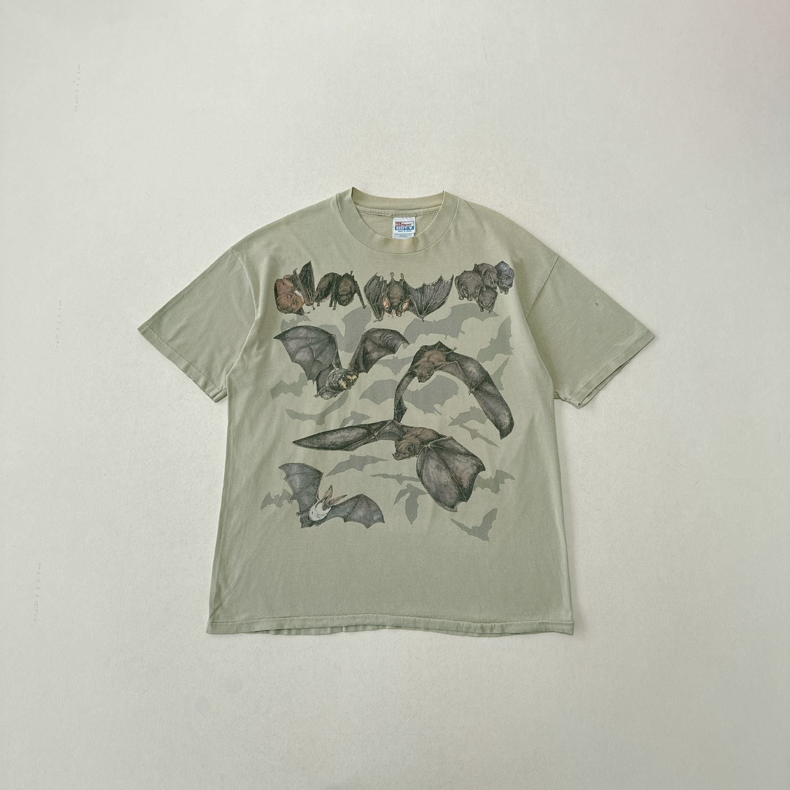 90s ヘインズ ヴィンテージ Tシャツ BATS OF THE WORLD シングルステッチ