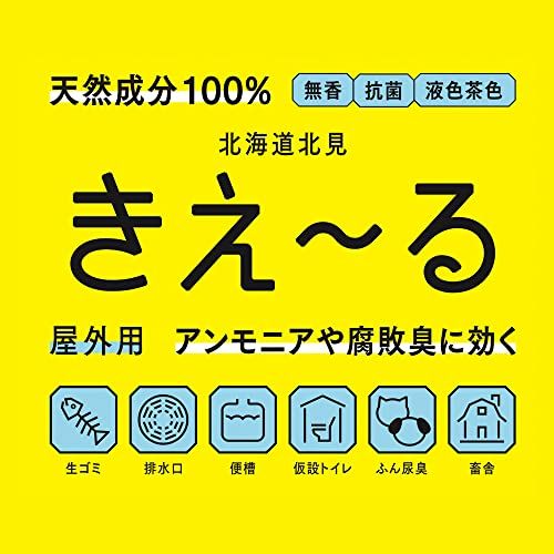ウサギ
