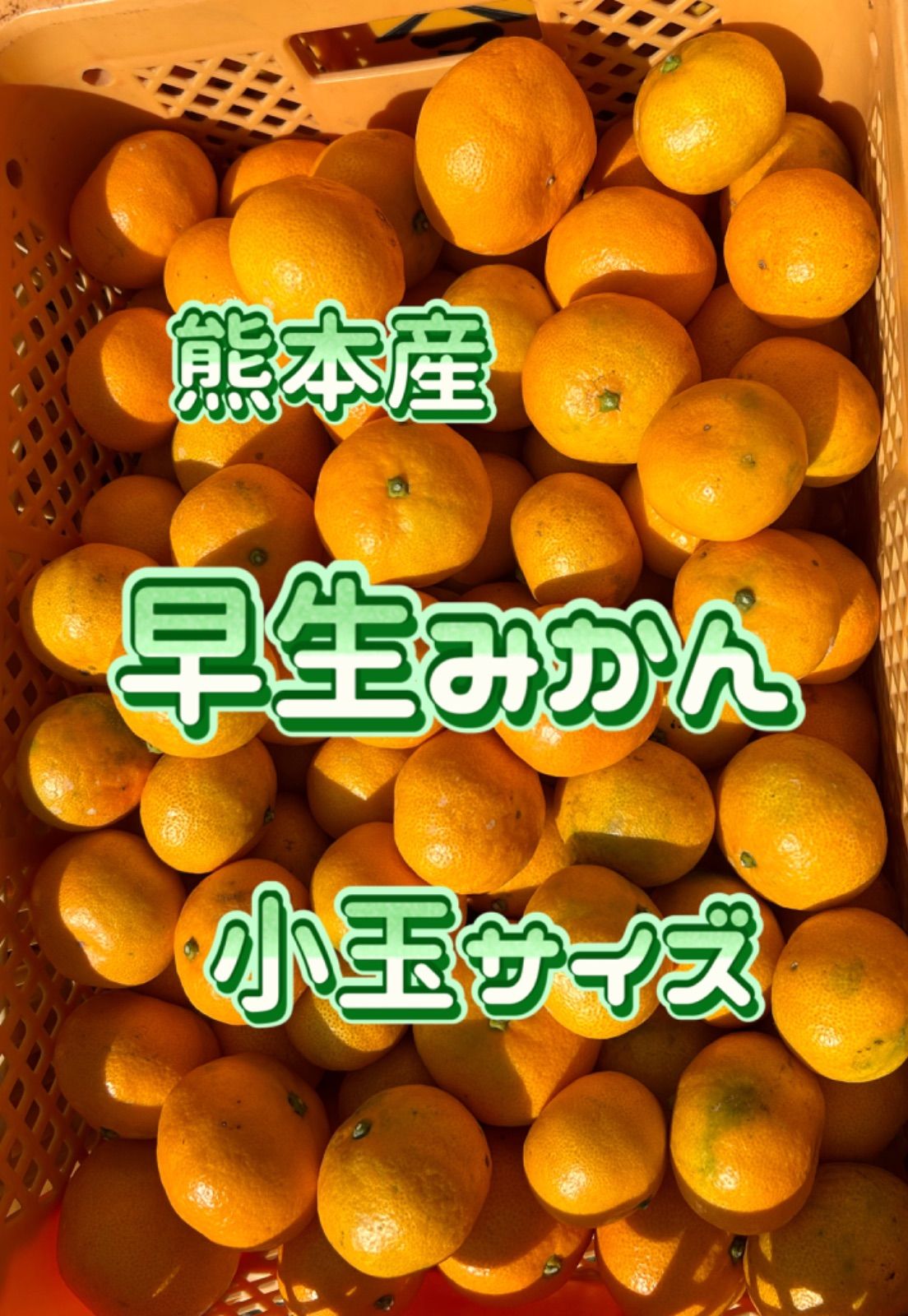 熊本産早生みかん肥のあすか小玉サイズ10kg - メルカリ