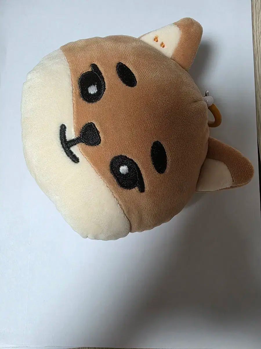 DAY6 ヨンケイ(Young K) ポーチ (ケイ(K))