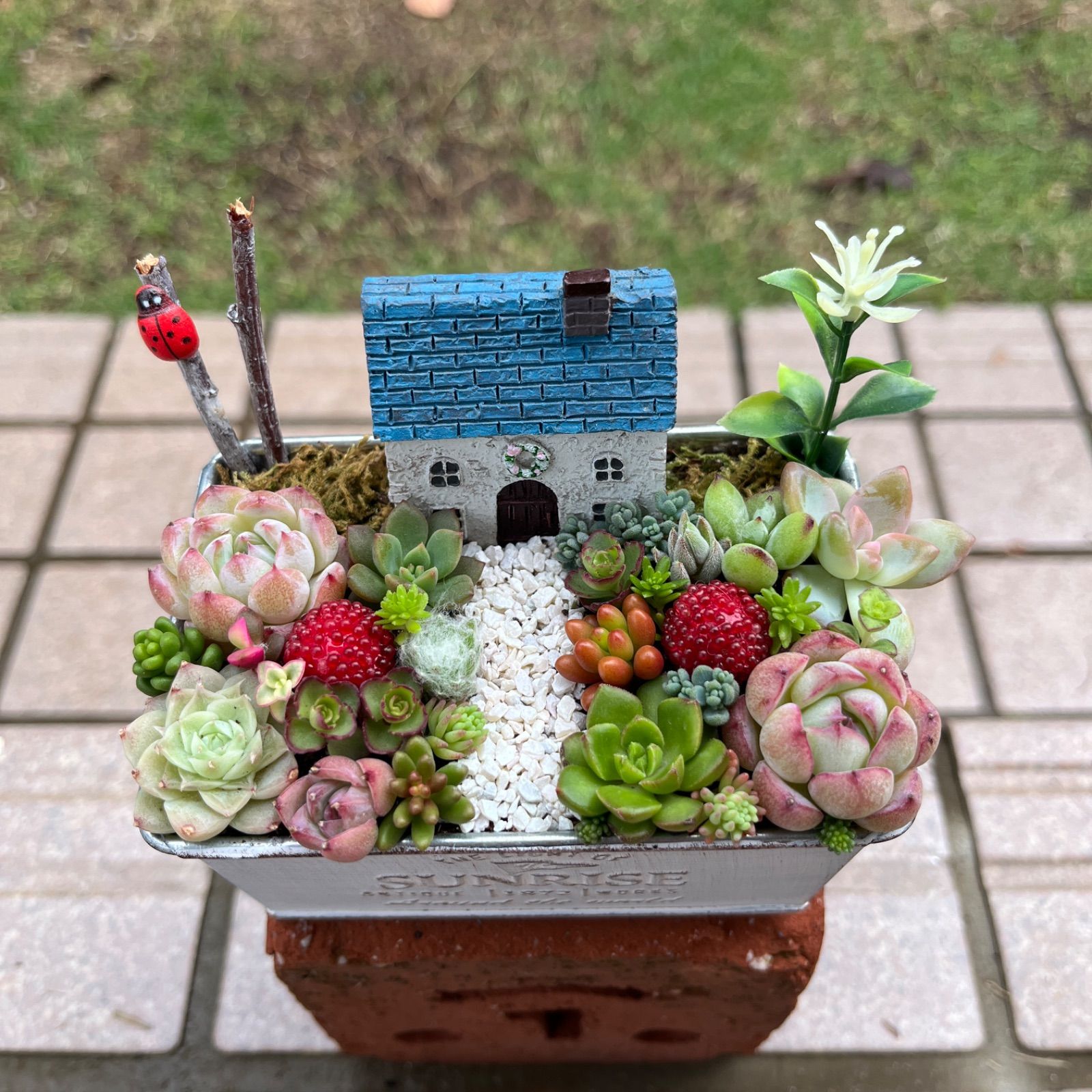 ♡そのまま飾れる♡お家ガーデン♬箱庭風多肉植物寄せ植え  