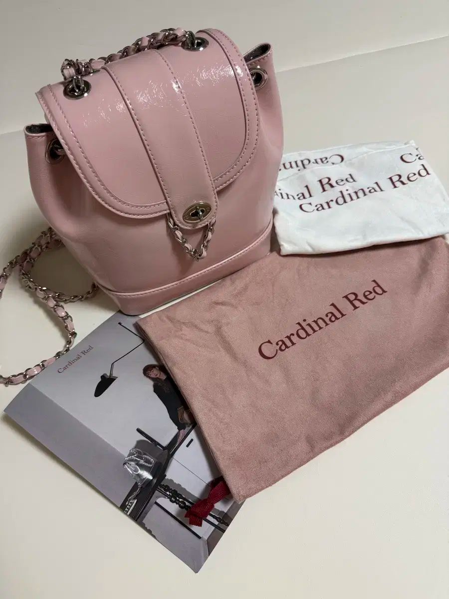 Cardinal Red カーディナルレッド Hawoo-A Bag ミュートピンク