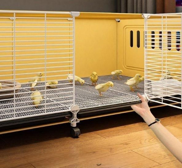 ルーチン鶏養殖ケージ家庭用飼育ボックス