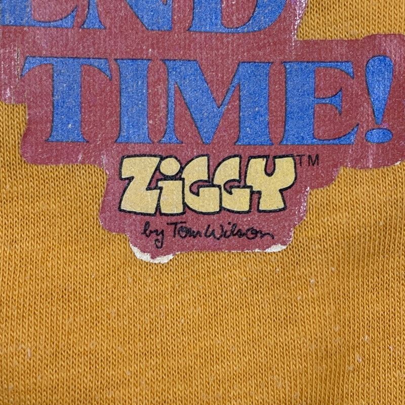 古着 70年代 ZIGGY ジギー メッセージプリントTシャツ USA製 メンズL相当 ヴィンテージ /eaa543092 古着 70年代 ZIGGY ジギー メッセージプリントTシャツ USA製