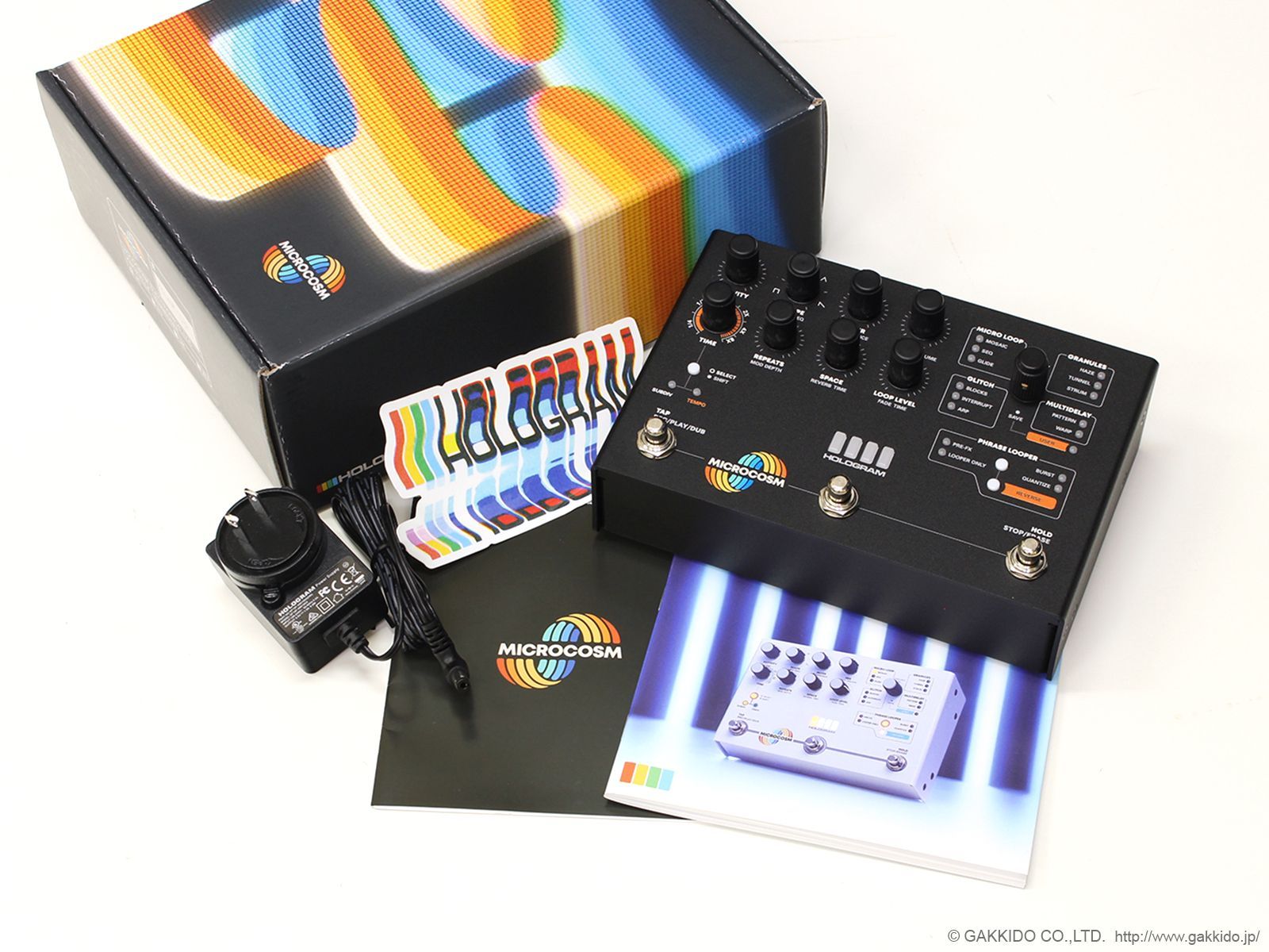 Hologram Electronics Microcosm 黒 限定500台