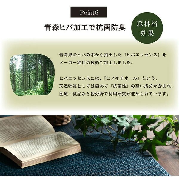 ラグ・カーペット・マット い草 置き畳/ユニット畳 無地調 抗菌 防臭 消臭 調湿 縁無し 防滑 〔リビング〕
