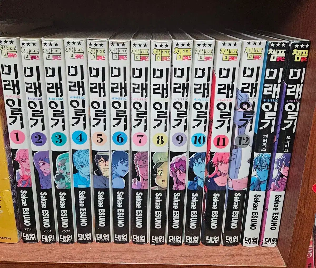未来日記 1 ー 12 パラドックス モザイク 所蔵用