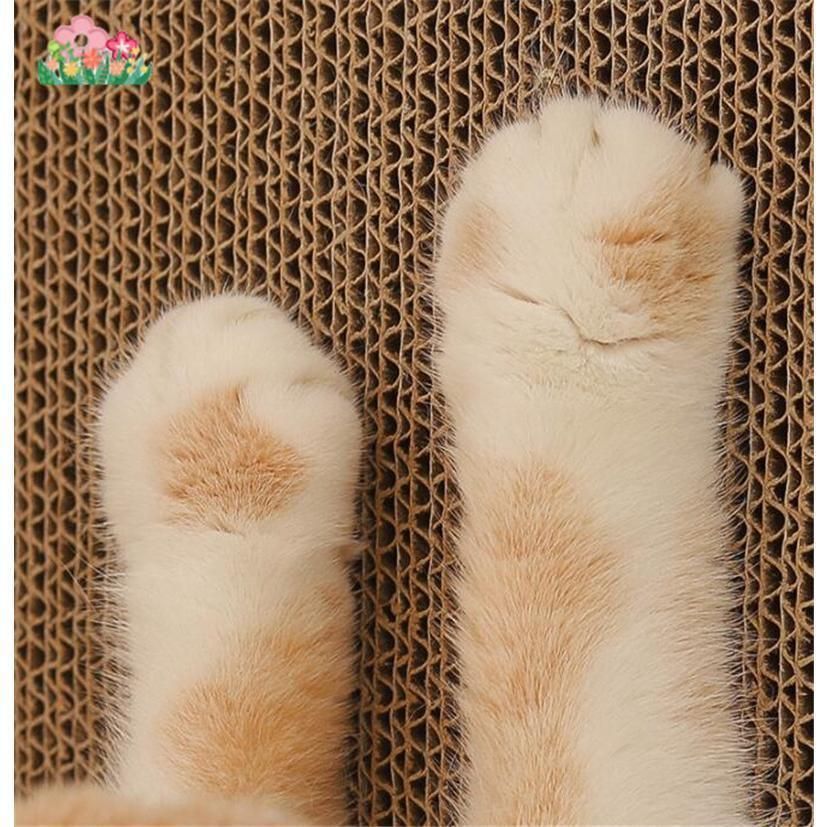 爪磨き ウオールスクラッチャー