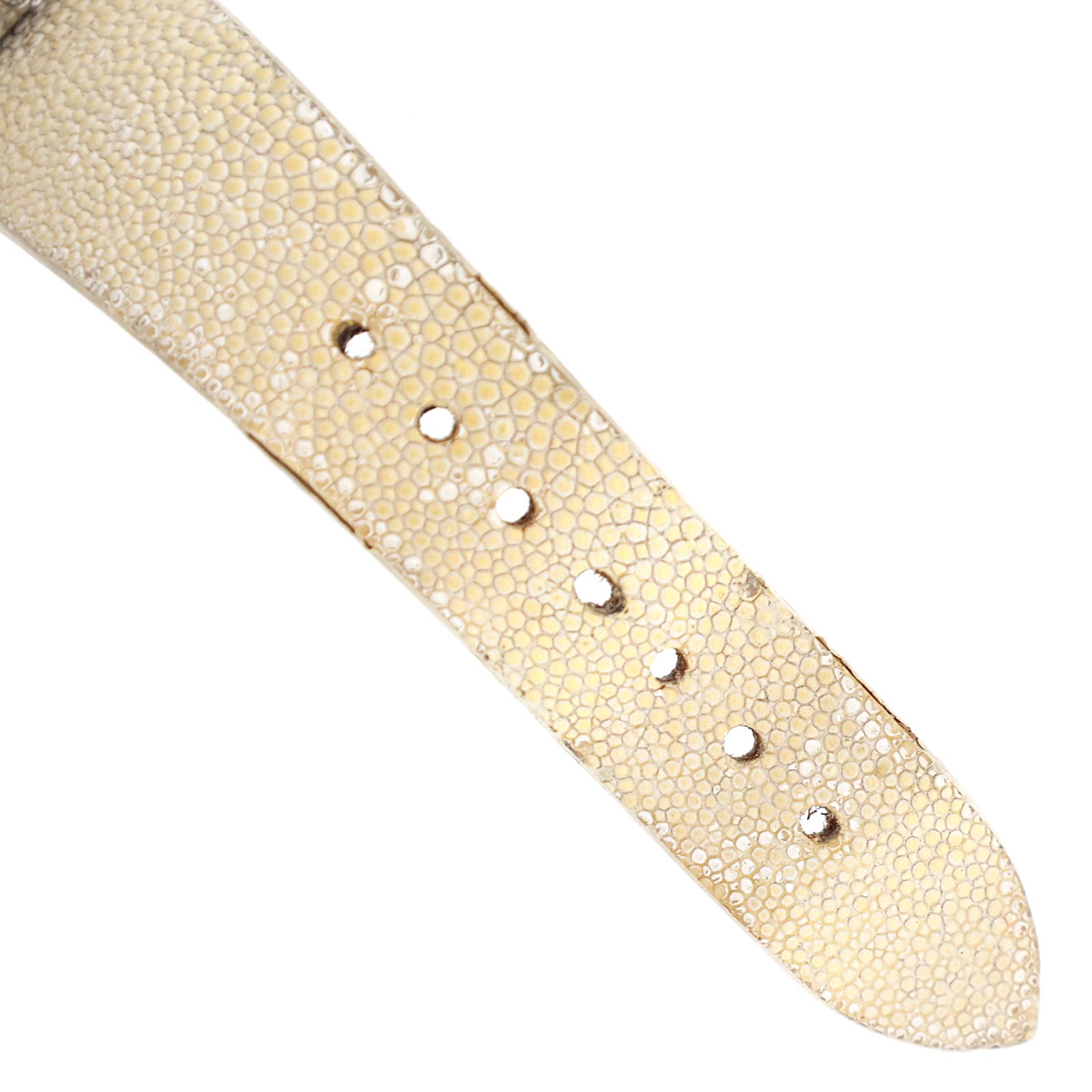 オープン エルプリメロ