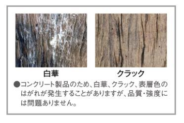 古木