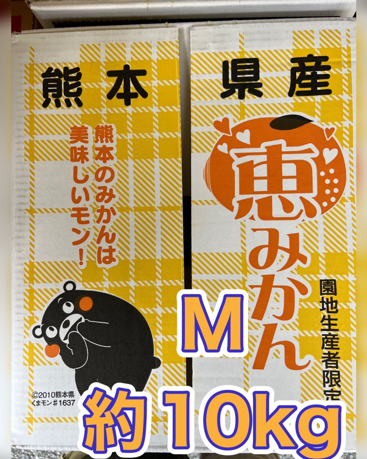 熊本県産　恵みかん（早生）　くまモン箱入り　Mサイズ約10kg-0