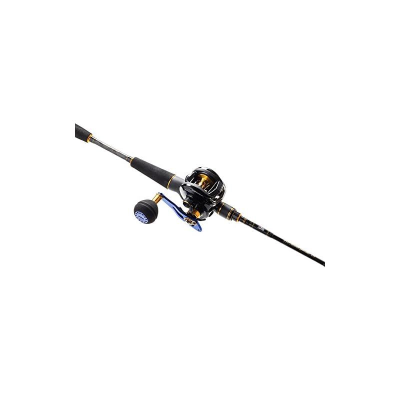 AbuGarcia (アブガルシア) オーシャンフィールド ライトジギング
