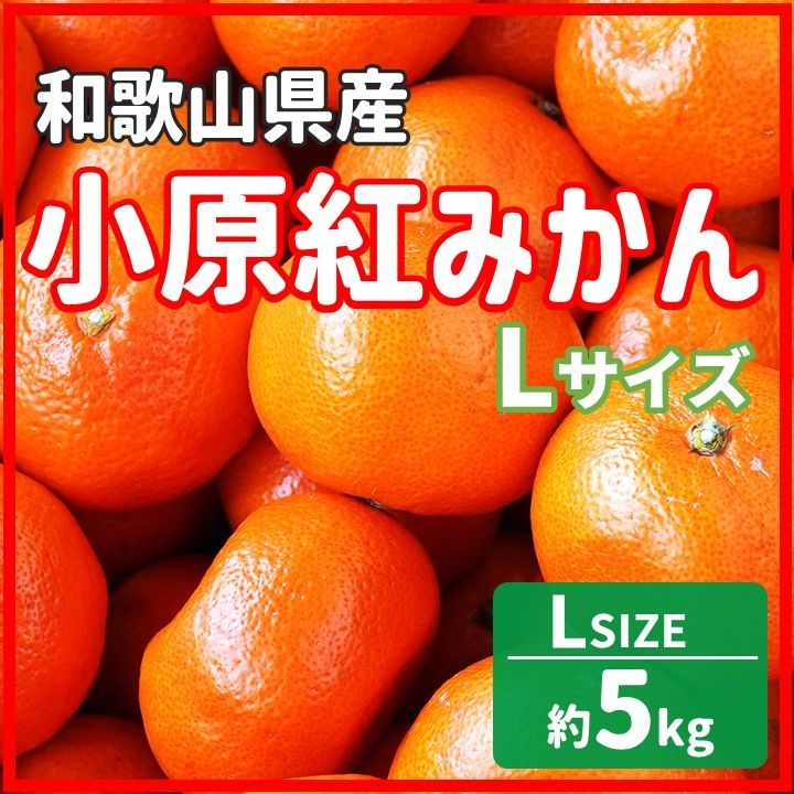 幻の紅みかん5kg Lサイズ】小原紅早生 5kg 和歌山県産みかん - メルカリ