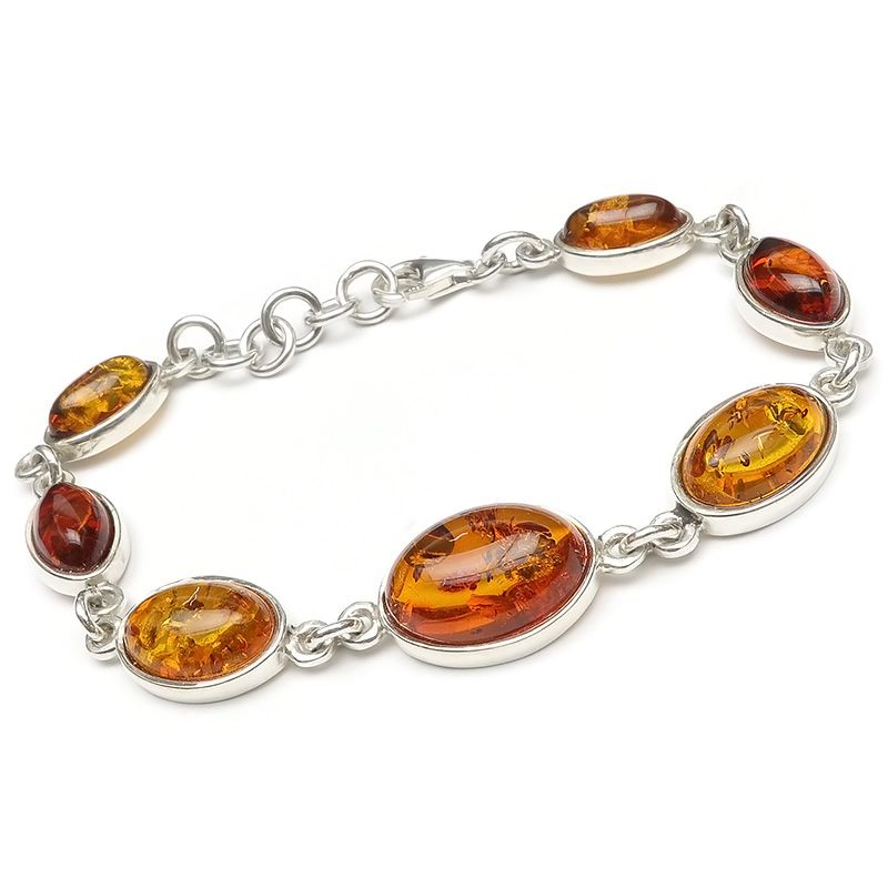 カラーアトラス眼底図譜 安い