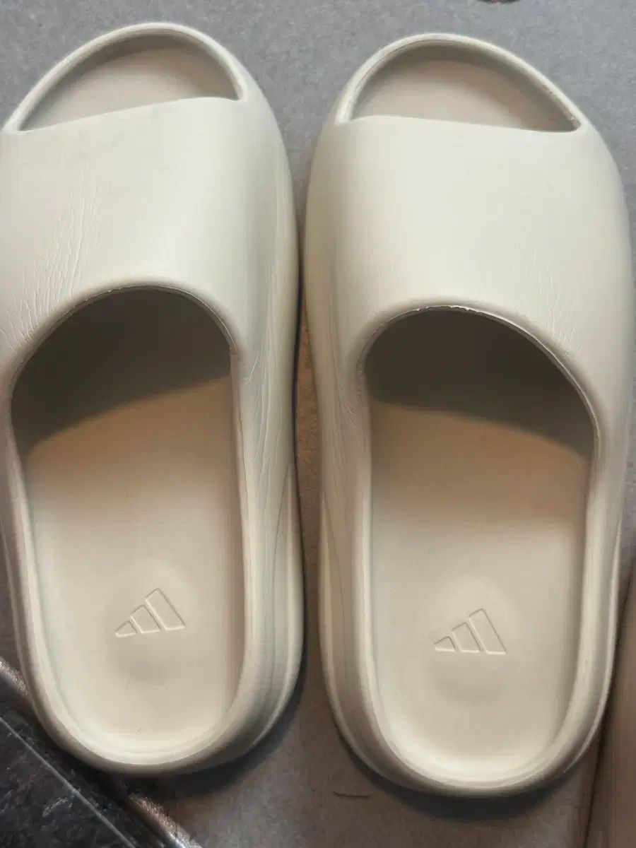 アディダス イージー スライド ボーン