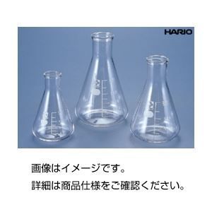 （まとめ）三角フラスコ（HARIO） 300ml