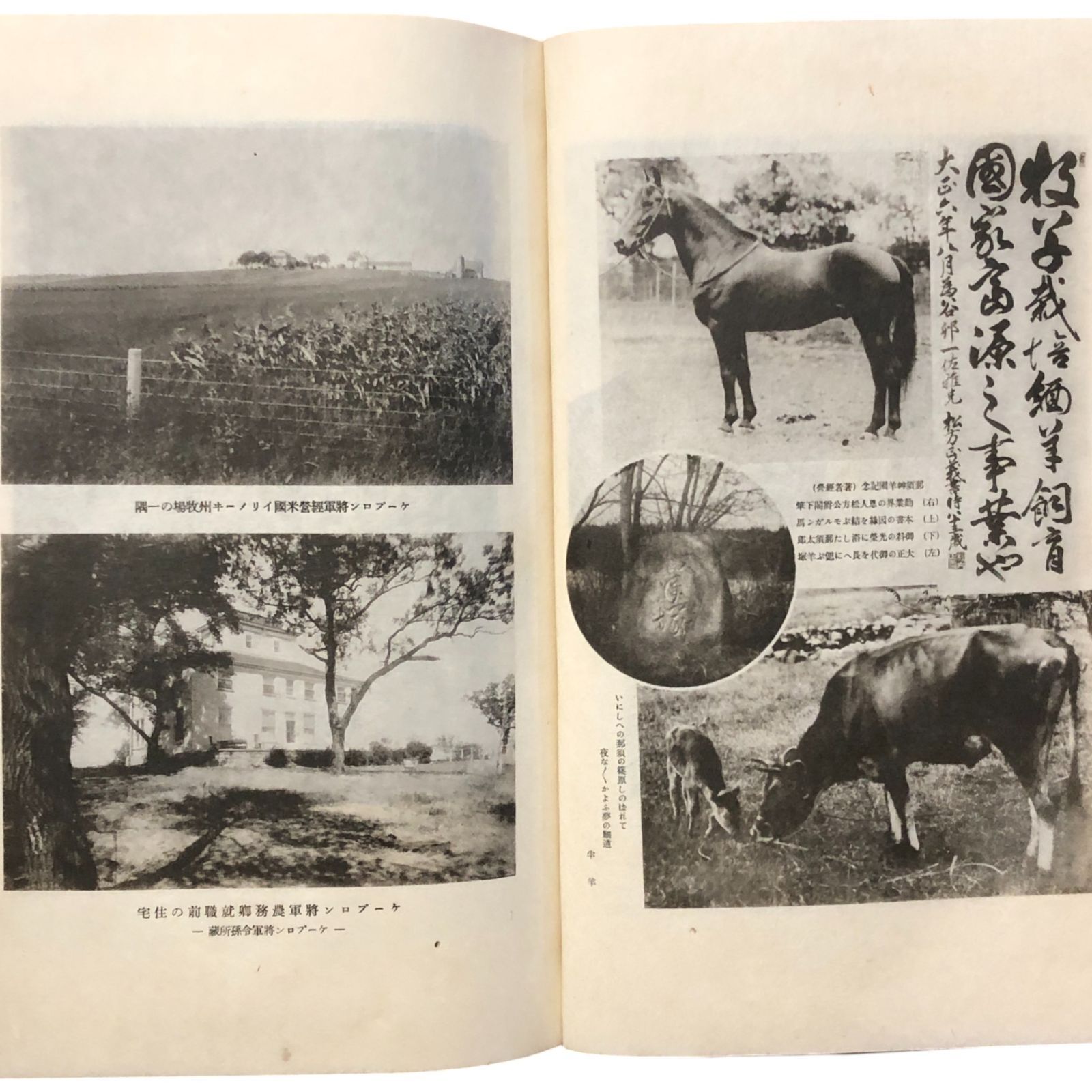 奎普龍将軍 ケープロン将軍