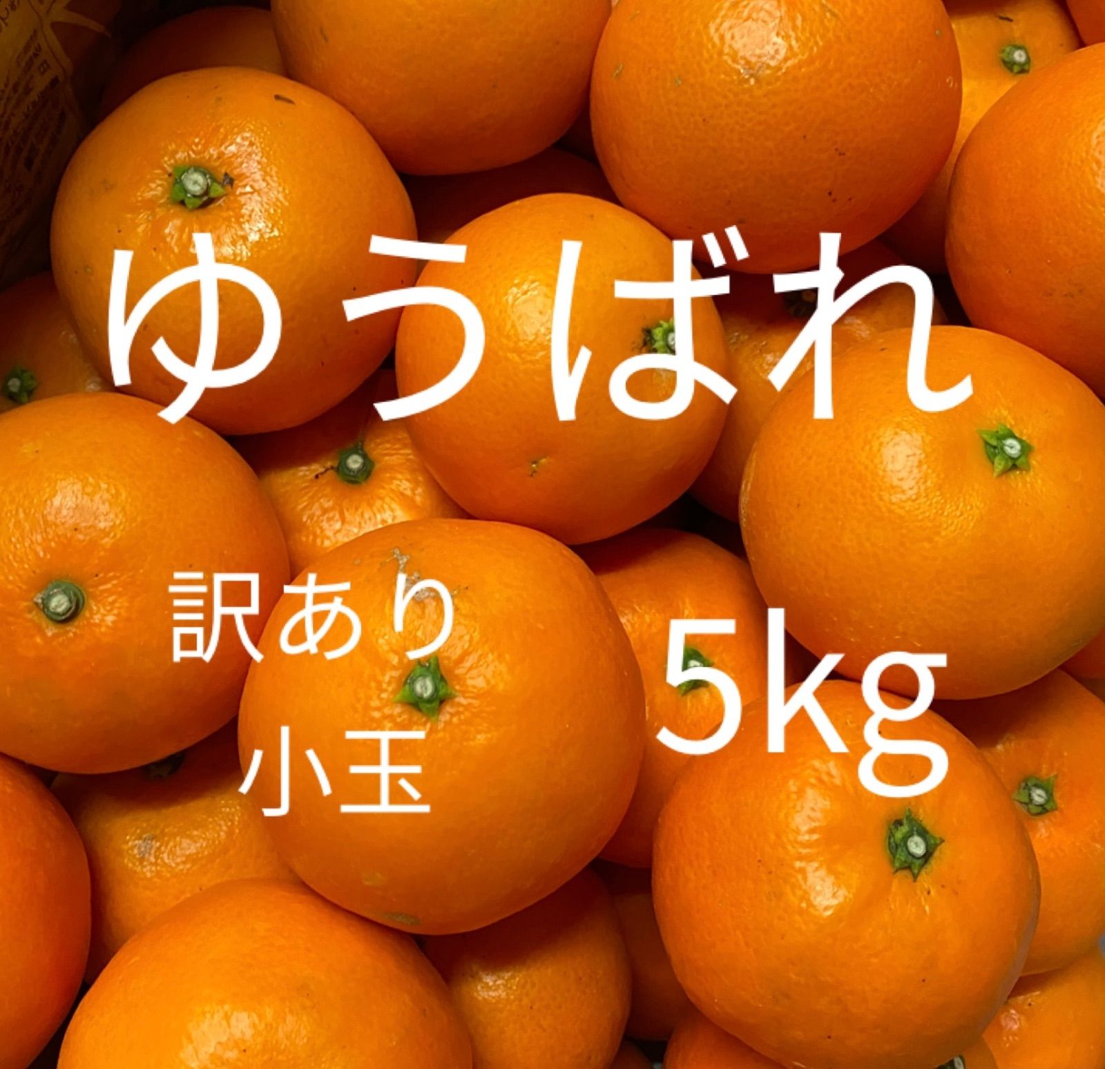 完売御礼！】【訳あり品】熊本県産みかん ゆうばれ(熊本EC12) 5kg 小玉 