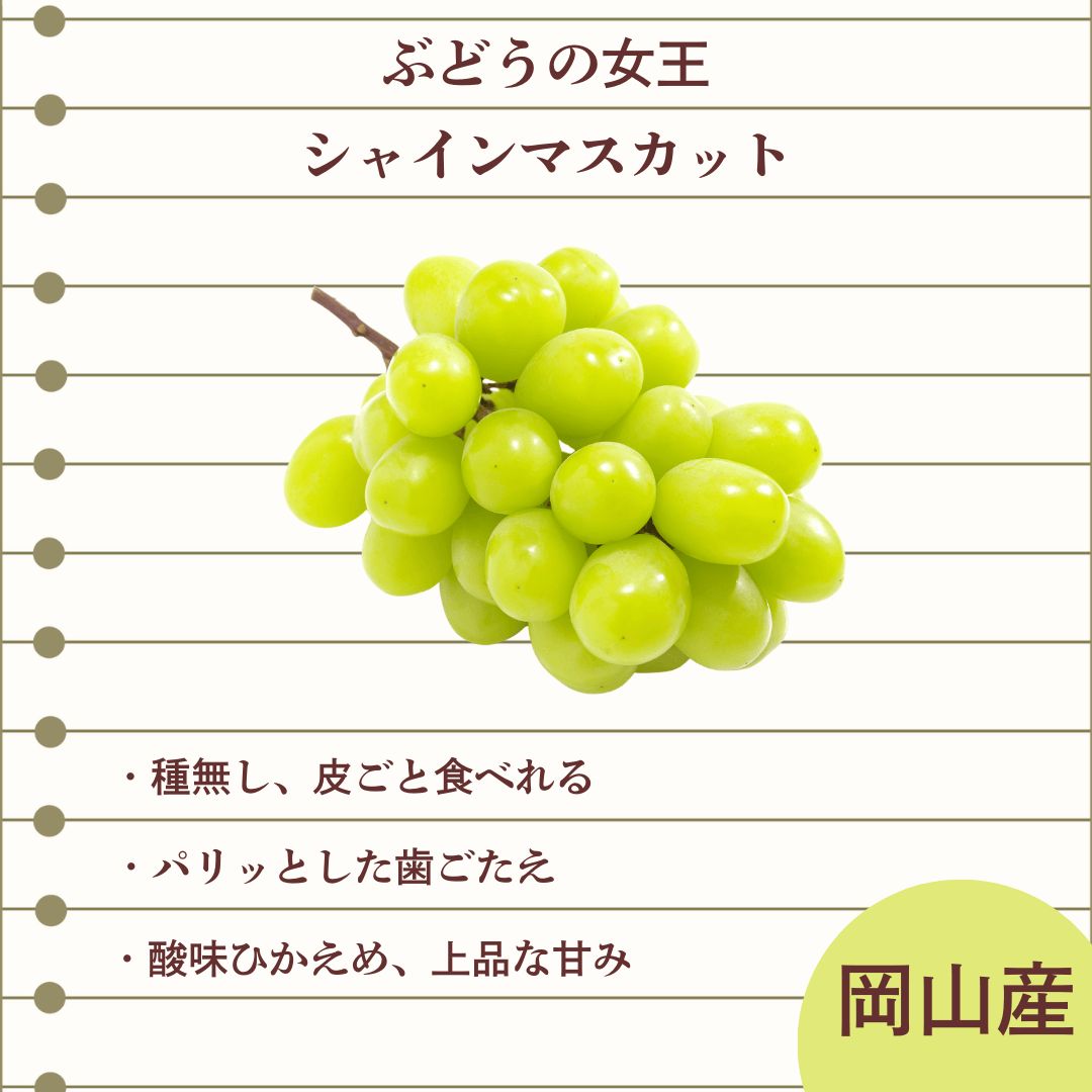 ぶどう 2色セット