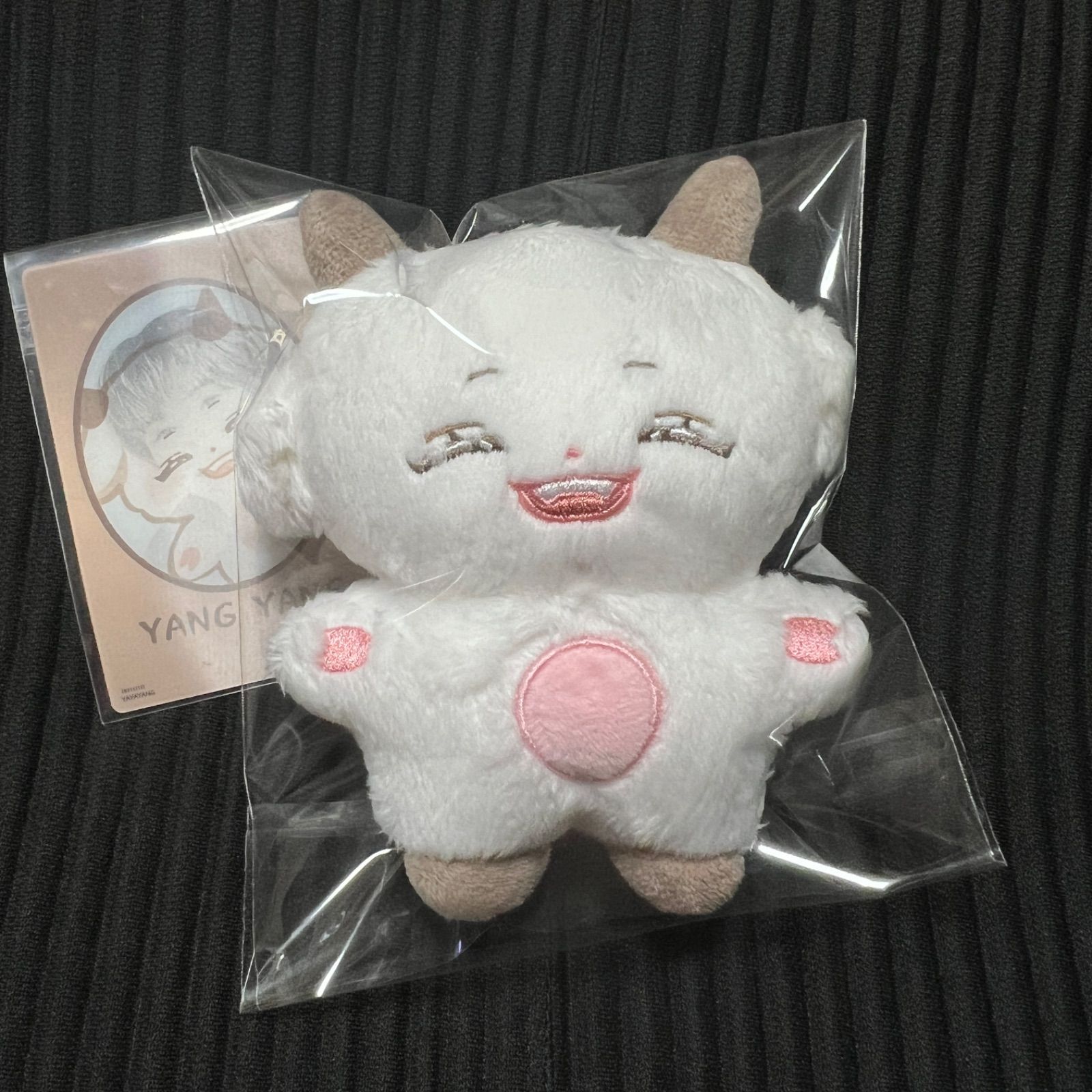 wayv ヤンヤン　ぬいぐるみ　10cm 新品　マスター　NCT wayv ヤンヤン ぬいぐるみ 10cm 新品 マスター nct - メルカリ