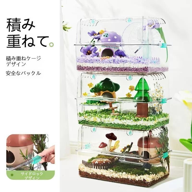 ゴールデンハムスター専