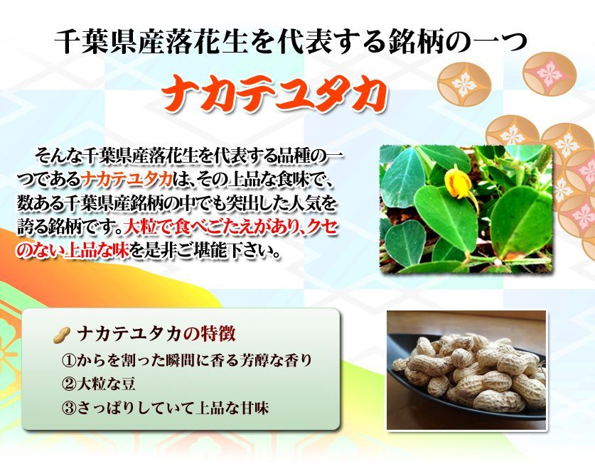 千葉県産ナカテユタカの味付落花生240g 薄皮付国産 おつまみ 薄皮付