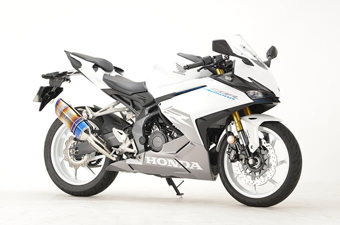 【新品・2営業日で発送】アールズギア 【必ず購入前に仕様をご確認下さい】CBR250RR GP-S SO タイプS DB (GH52-T3SD)