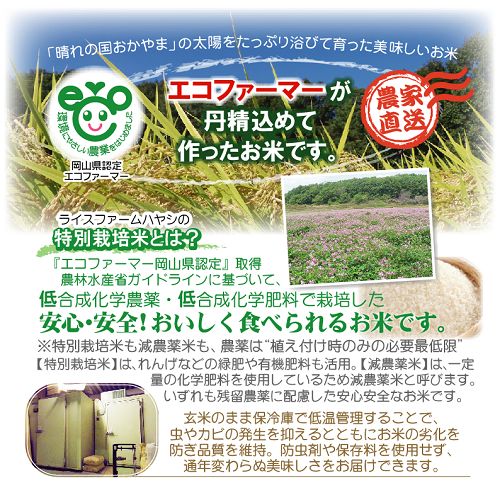 段ボール箱梱包☆令和5年産特別栽培米【朝日】5キロ - メルカリ
