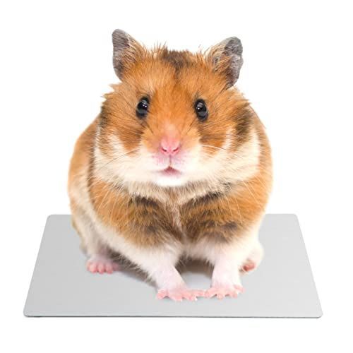 ハムスター用涼感プレート ２枚 ひんやりマット アルミ製 涼しいクールシード 小動物用夏グッズ 暑さ対策