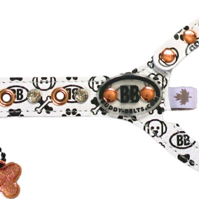 バディーベルト正規輸入代理店