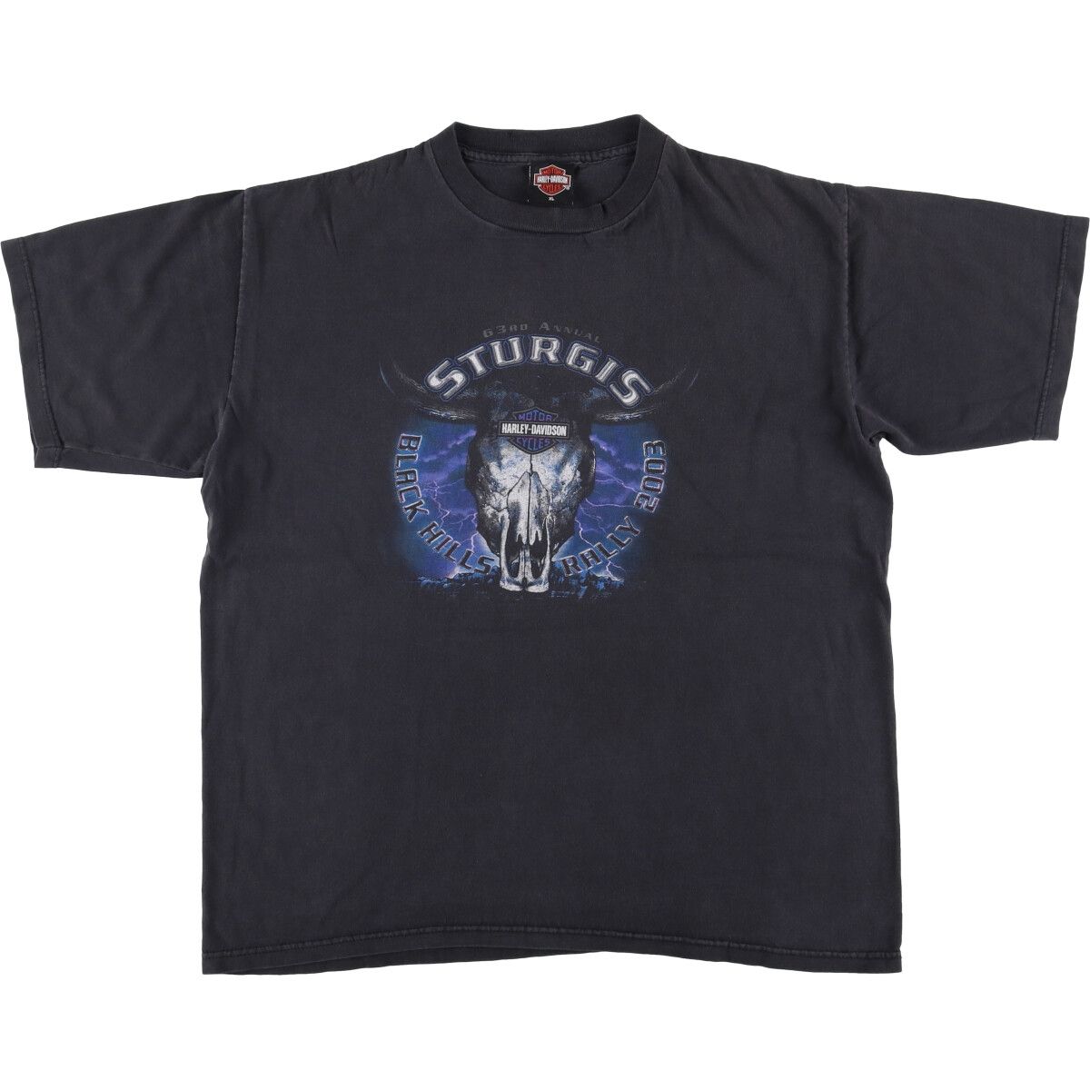 古着 00年代 ハーレーダビッドソン Harley-Davidson サンダー モーターサイクル バイクTシャツ メンズXL相当|eaa589977